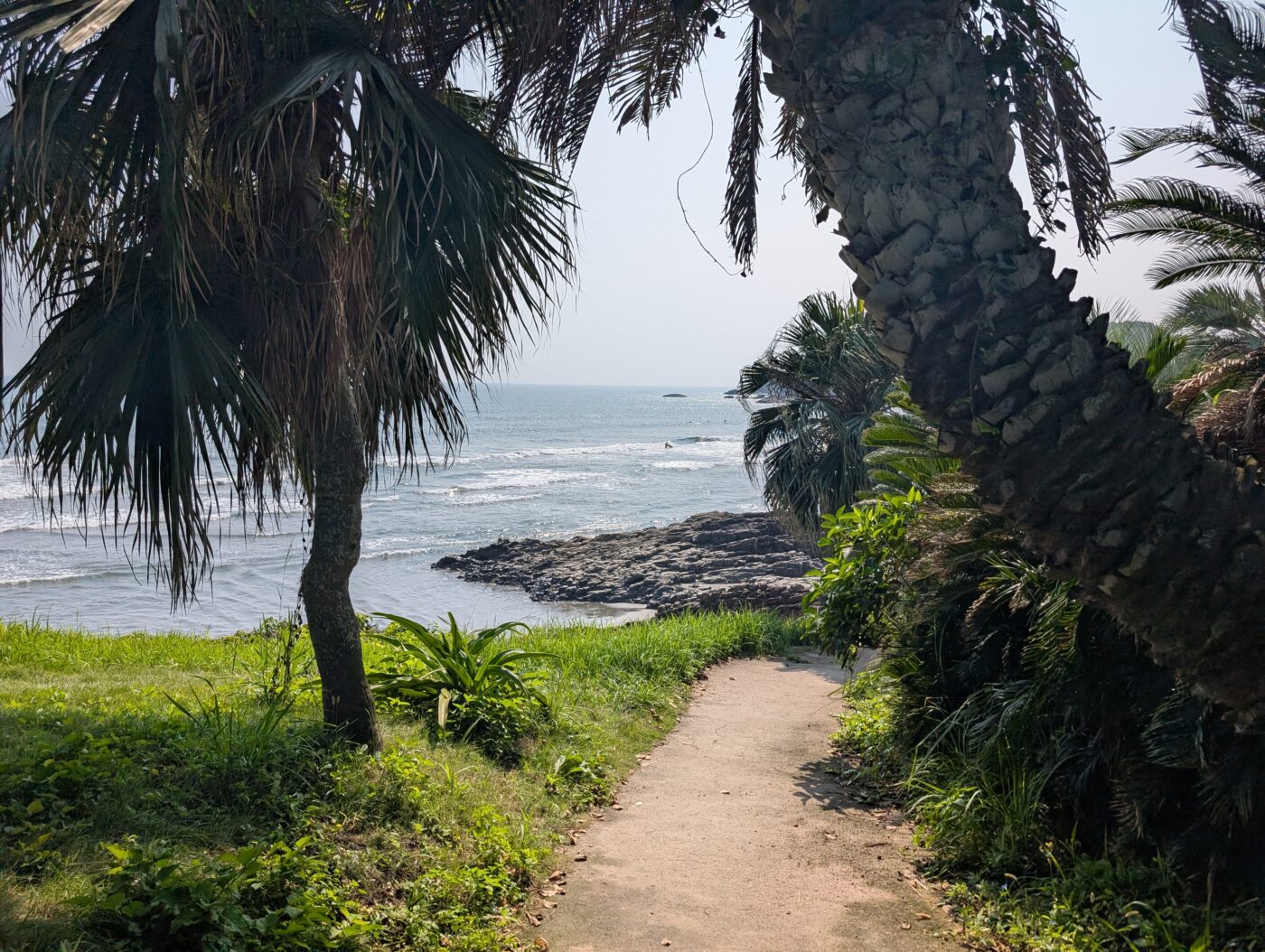 サーフィン日記 (2025.10.15)[195回目]