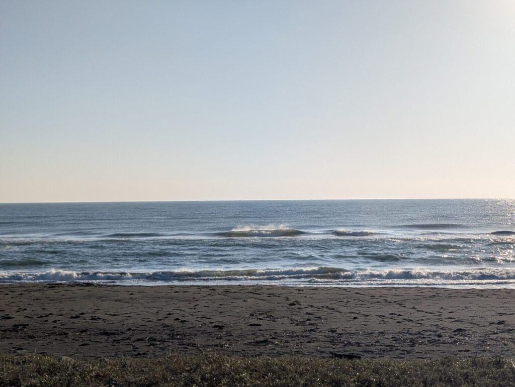 サーフィン日記 (2025.11.15)[200回目]