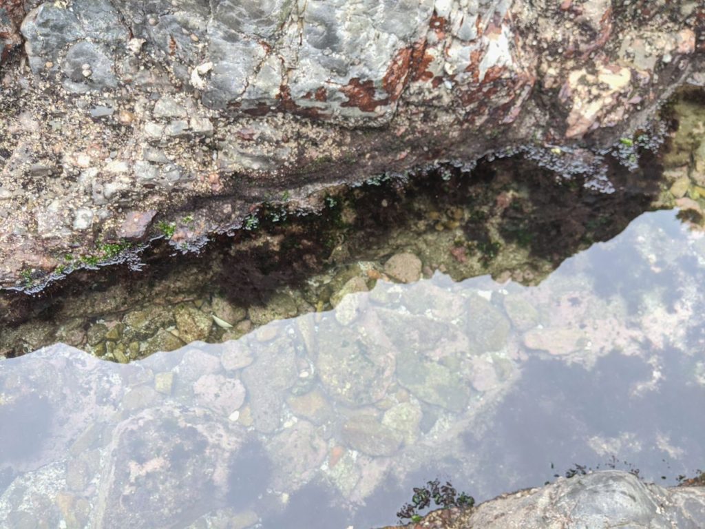 伊勢ケ浜サーフポイントにある「龍宮(鵜戸神宮)」が神秘的だった話