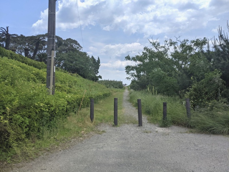 富田浜サーフポイント（新富町）【宮崎県サーフトリップ】
